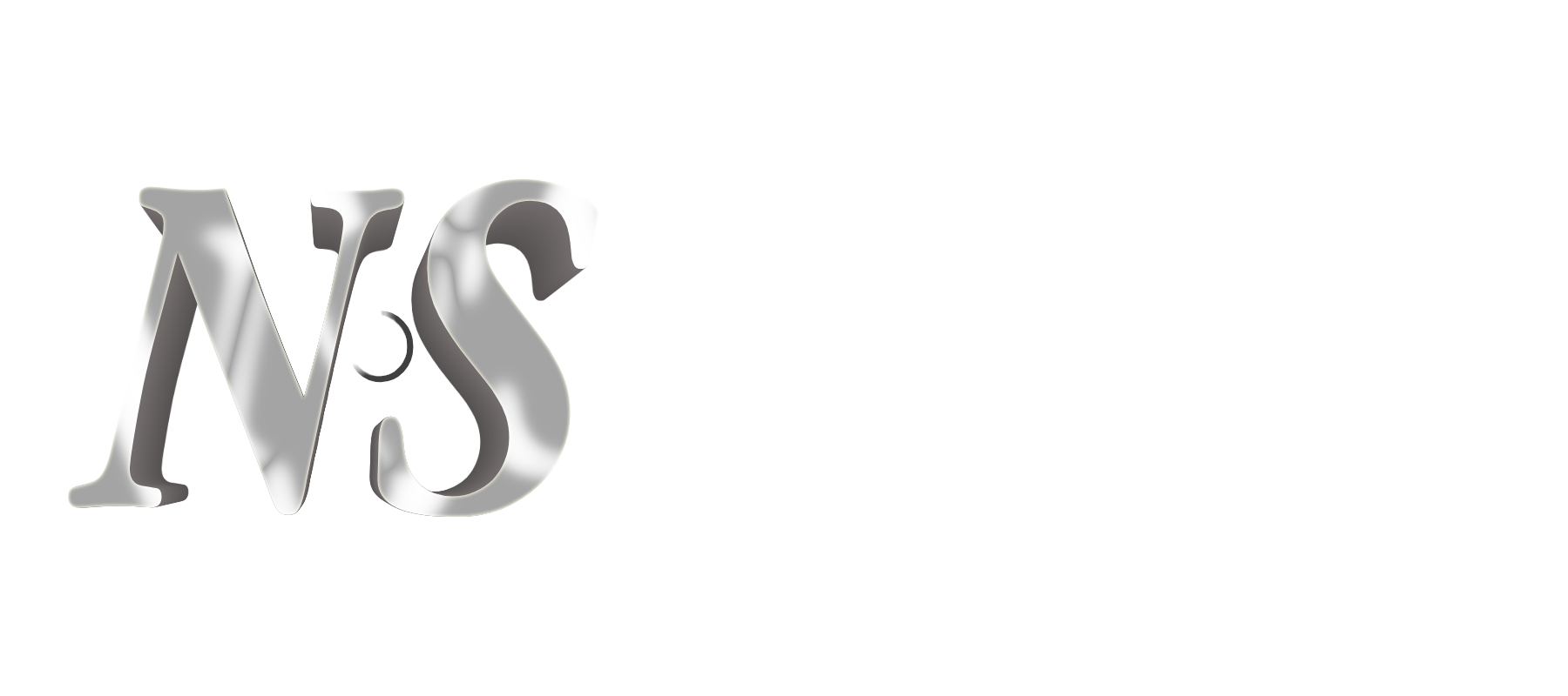 NellSeek Logo